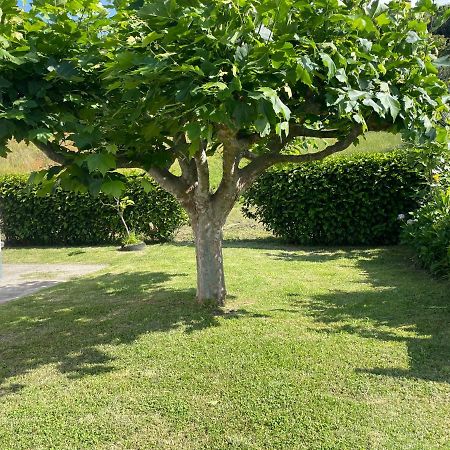 Moradia Rústica Jardim Caloura Exterior foto